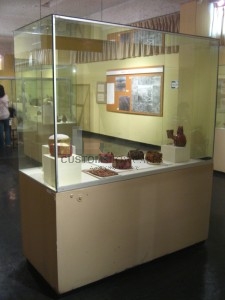 Museum Display Cabinet